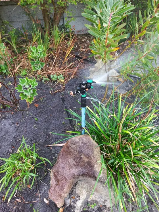 A sprinkler watering a newly planted garden bed