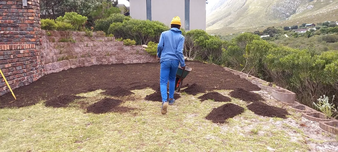 A gardener spreading lawn dressing across a raised bank with mountains behind