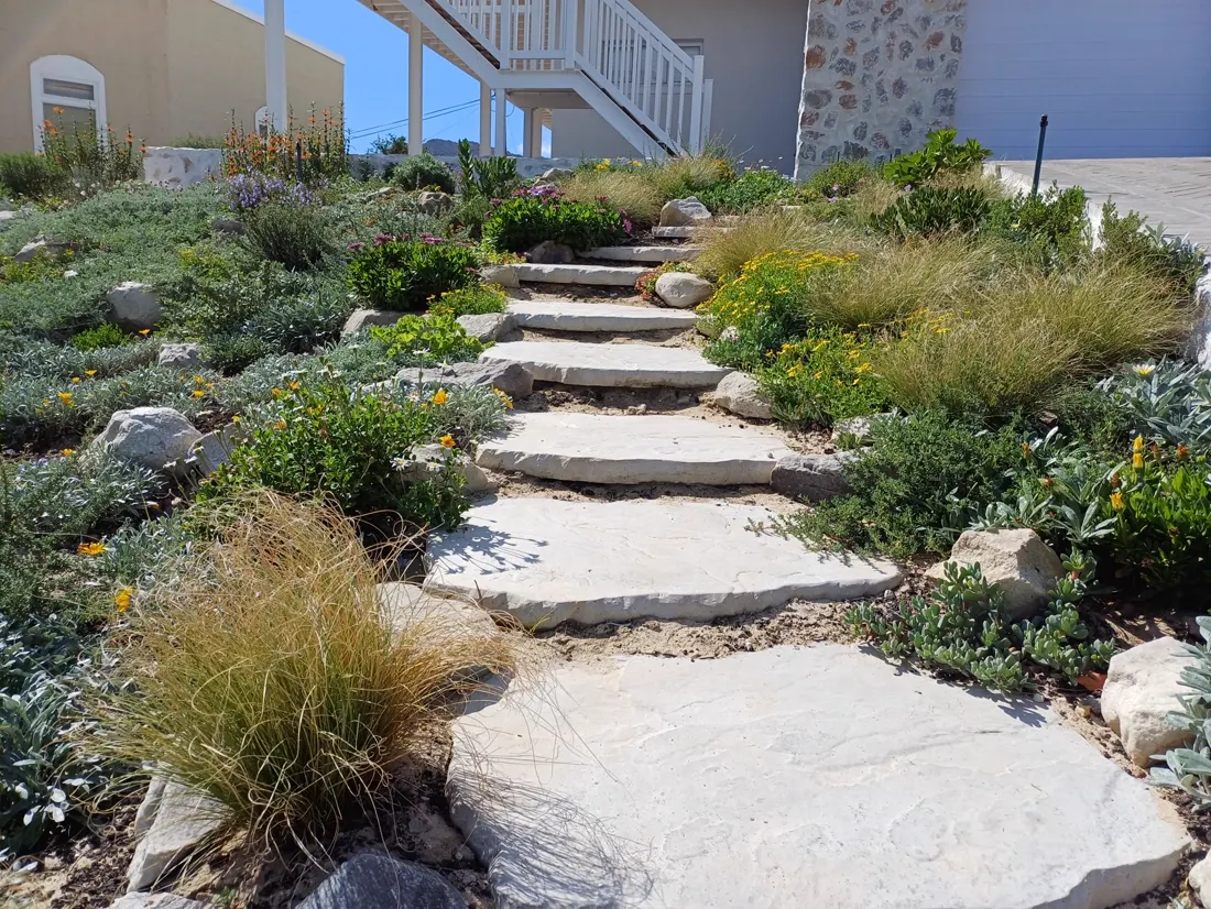 Landscaping