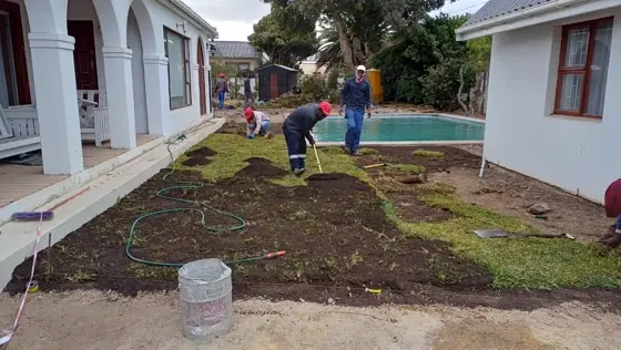 New lawn laid beside a swimming pool