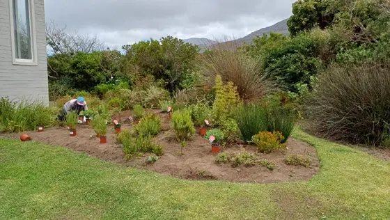 Established garden bed with a grass path and mountain backdrop