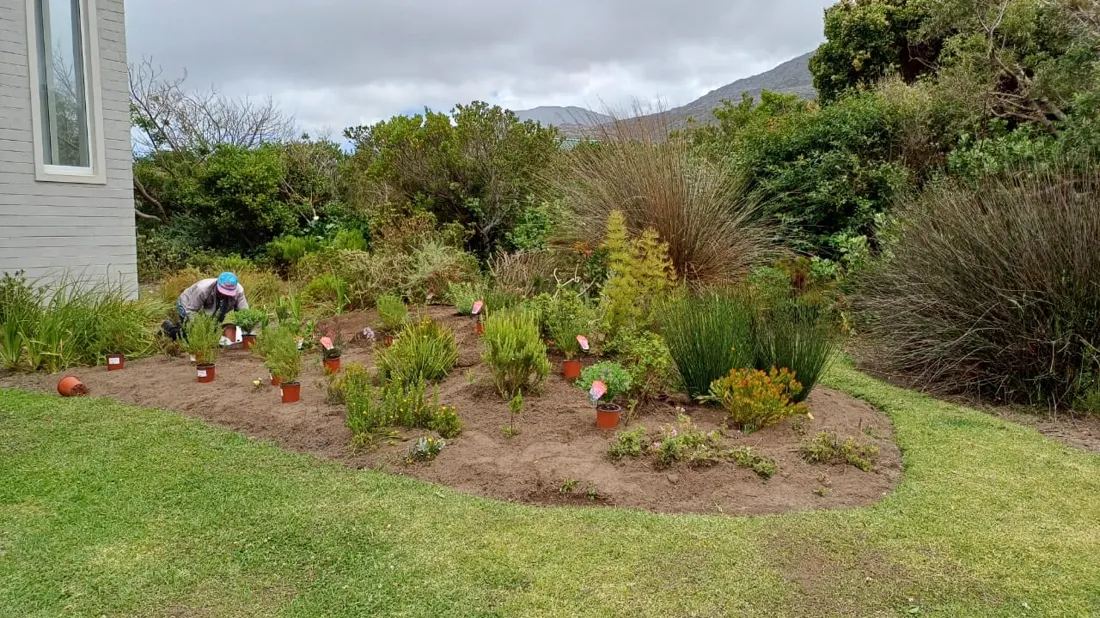 Established garden bed with a grass path and mountain backdrop