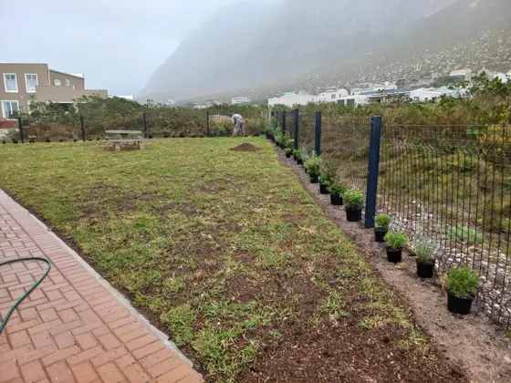New border planting along a garden fence line