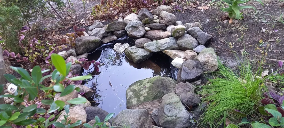 A small rock-edged garden pond feature