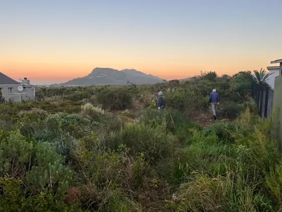 Overgrown coastal plot before clearing, with a mountain view at dusk